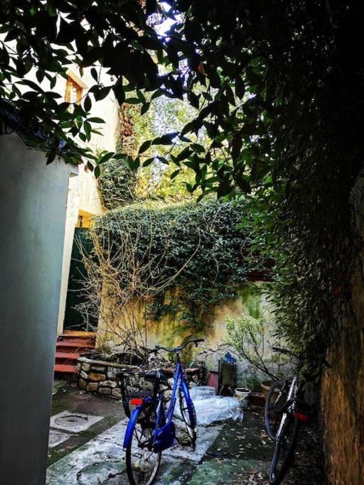 Florentine Style Apartment In San Frediano Φλωρεντία Εξωτερικό φωτογραφία
